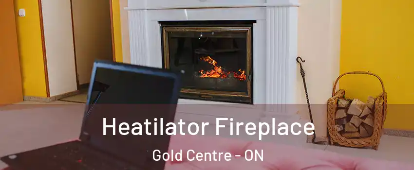  Heatilator Fireplace Gold Centre - ON