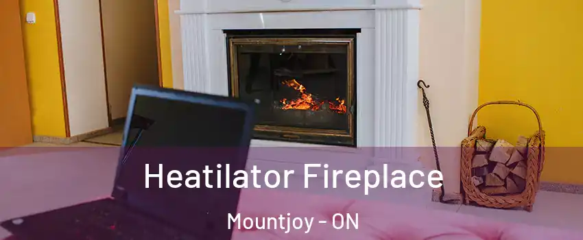  Heatilator Fireplace Mountjoy - ON