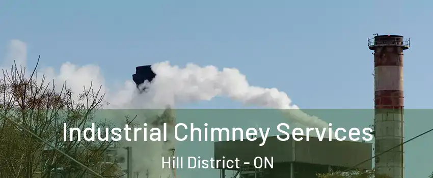  Industrial Chimney Services Hill District - ON