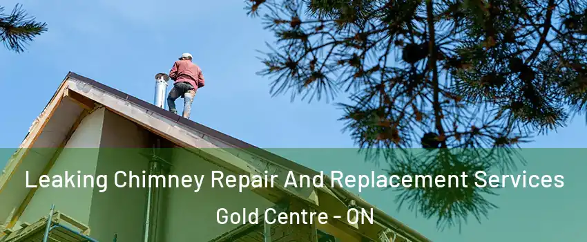  Leaking Chimney Repair And Replacement Services Gold Centre - ON