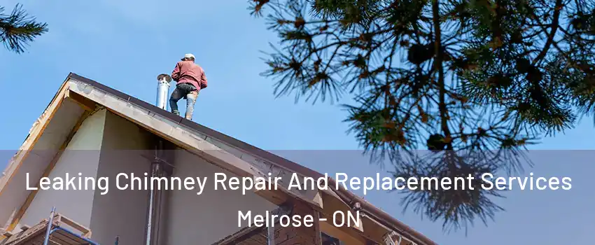  Leaking Chimney Repair And Replacement Services Melrose - ON