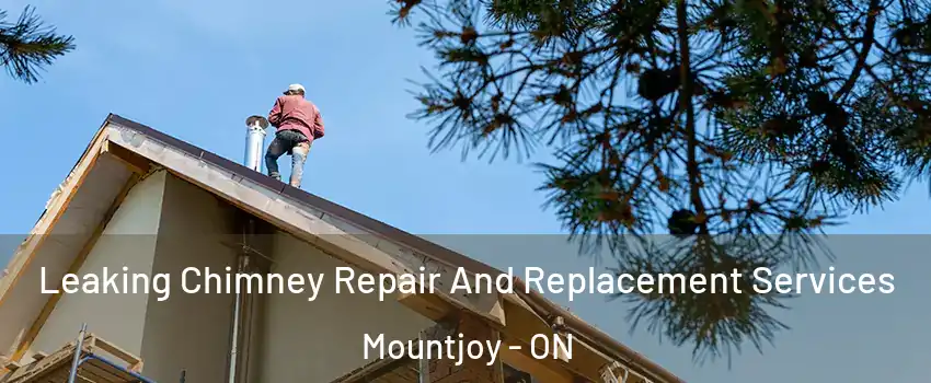  Leaking Chimney Repair And Replacement Services Mountjoy - ON