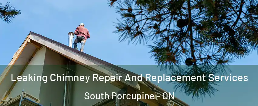  Leaking Chimney Repair And Replacement Services South Porcupine - ON