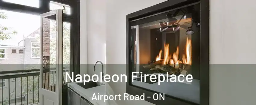  Napoleon Fireplace Airport Road - ON