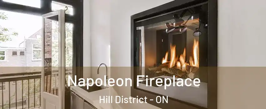  Napoleon Fireplace Hill District - ON