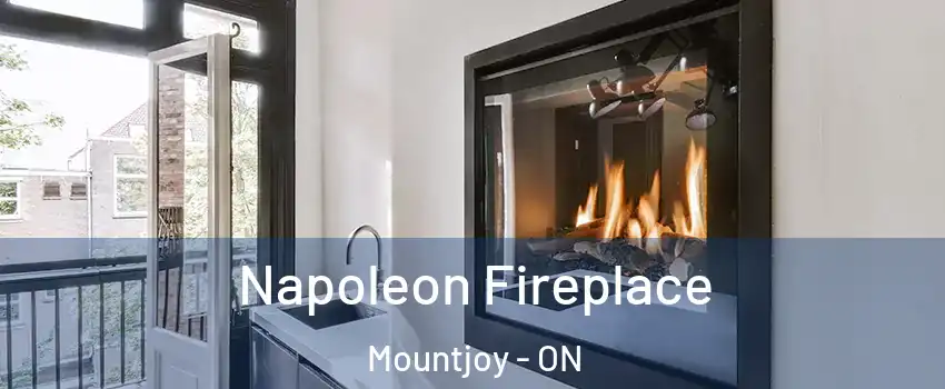  Napoleon Fireplace Mountjoy - ON