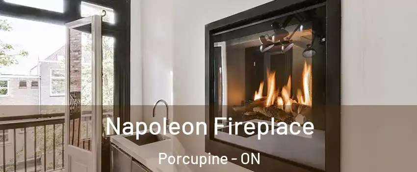  Napoleon Fireplace Porcupine - ON