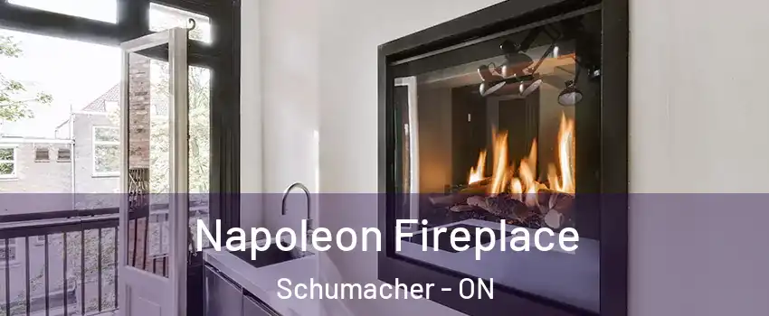  Napoleon Fireplace Schumacher - ON