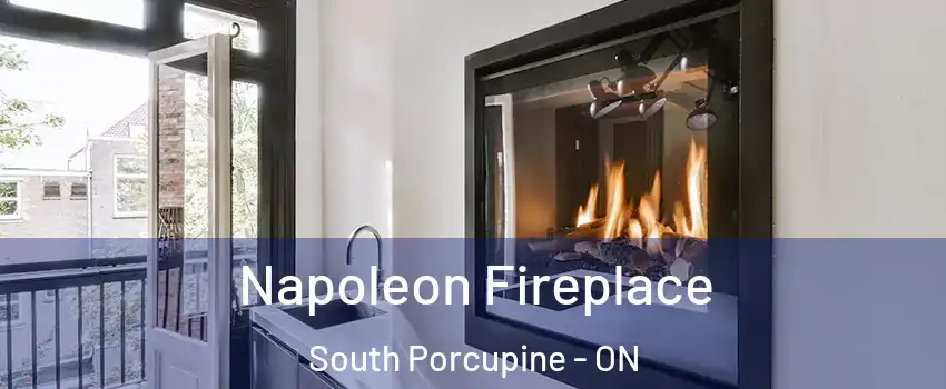  Napoleon Fireplace South Porcupine - ON