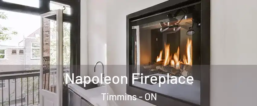  Napoleon Fireplace Timmins - ON