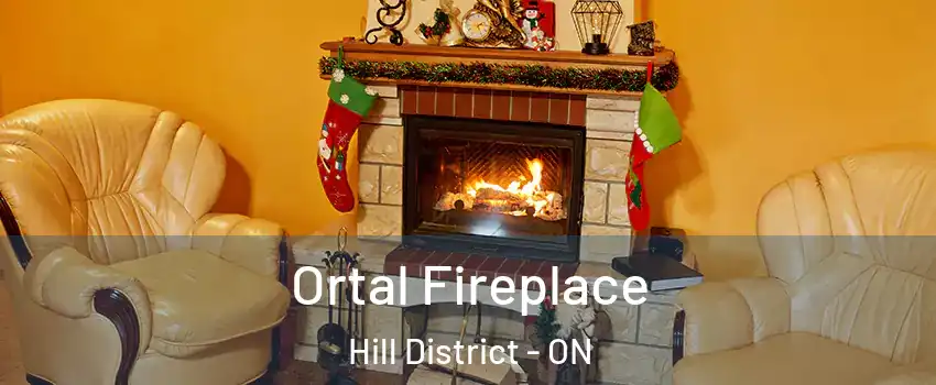  Ortal Fireplace Hill District - ON
