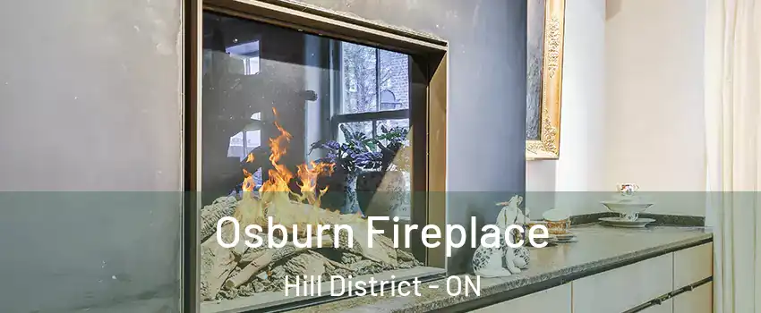  Osburn Fireplace Hill District - ON