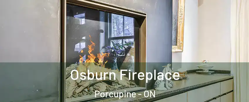  Osburn Fireplace Porcupine - ON