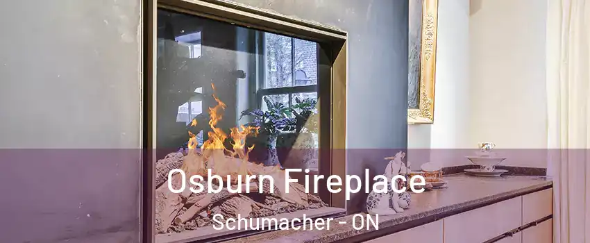  Osburn Fireplace Schumacher - ON