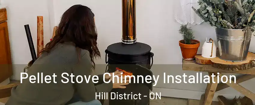  Pellet Stove Chimney Installation Hill District - ON