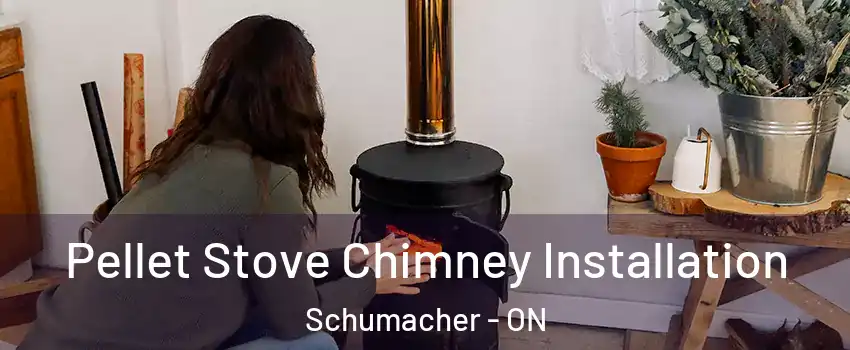 Pellet Stove Chimney Installation Schumacher - ON