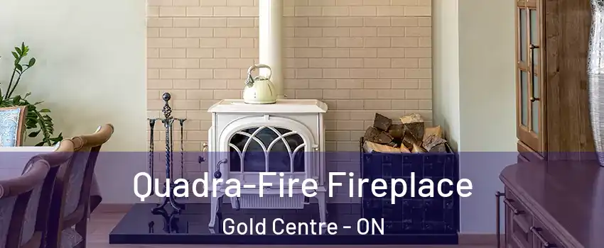  Quadra-Fire Fireplace Gold Centre - ON