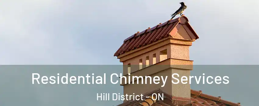  Residential Chimney Services Hill District - ON