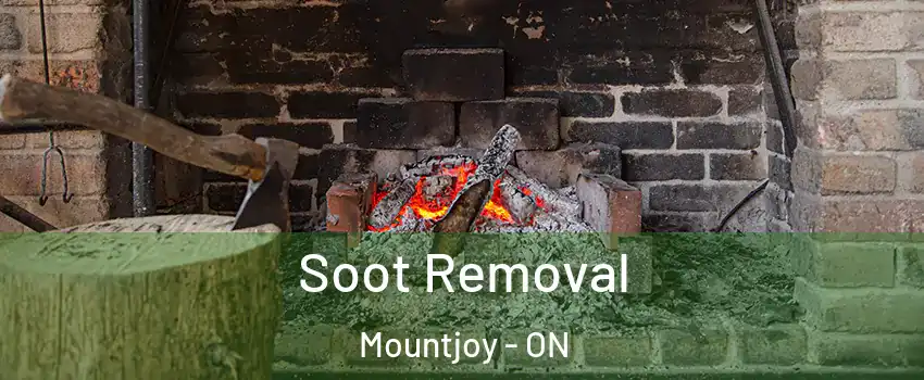  Soot Removal Mountjoy - ON