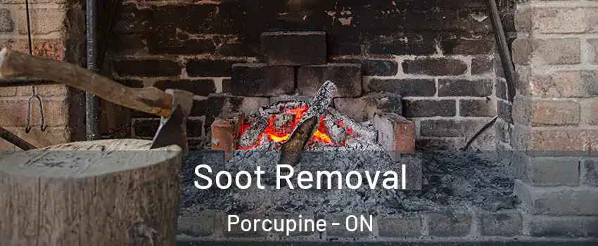  Soot Removal Porcupine - ON