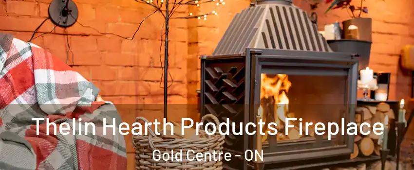  Thelin Hearth Products Fireplace Gold Centre - ON