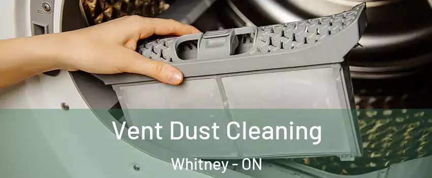  Vent Dust Cleaning Whitney - ON