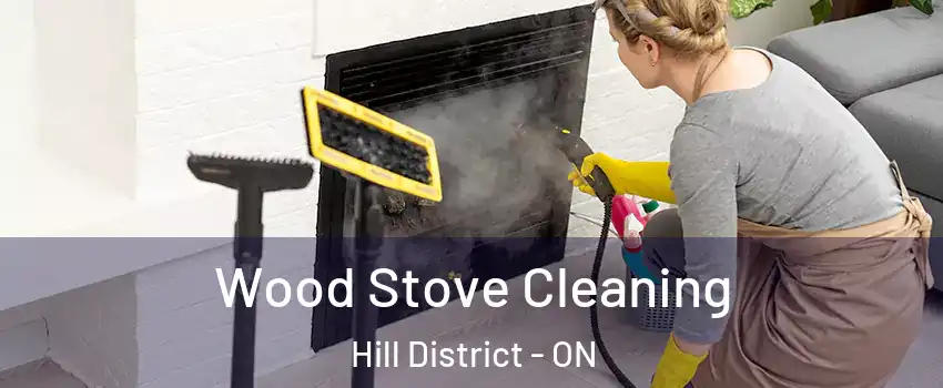  Wood Stove Cleaning Hill District - ON