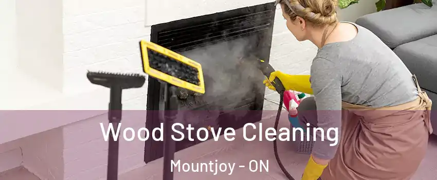  Wood Stove Cleaning Mountjoy - ON