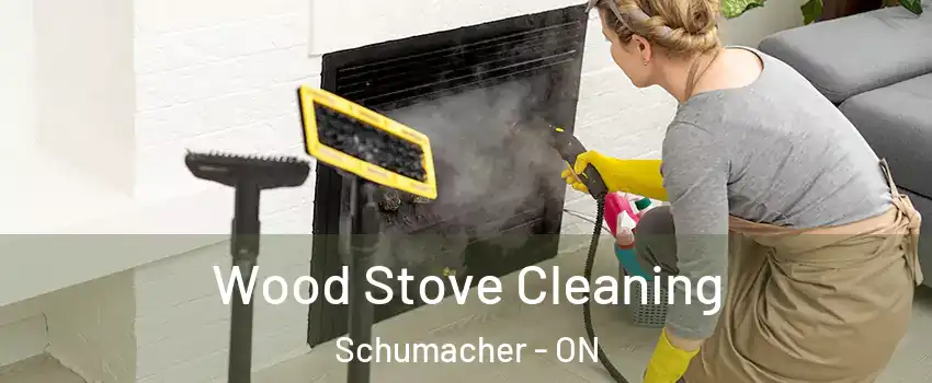  Wood Stove Cleaning Schumacher - ON