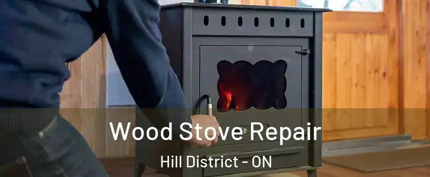  Wood Stove Repair Hill District - ON